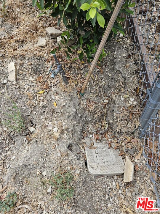 3923 Deer Avenue Sherman Oaks, CA 91423 - Photo 10 of 16 a picture of a plant with a plant