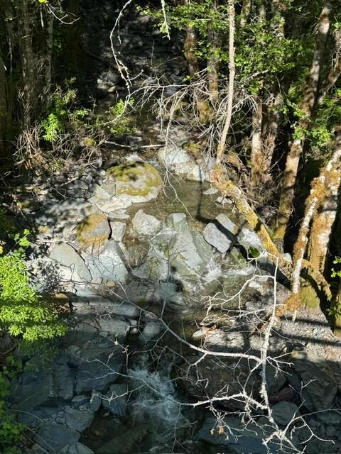 37430 Alderpoint Road Blocksburg, CA 95514 - Photo 5 of 18