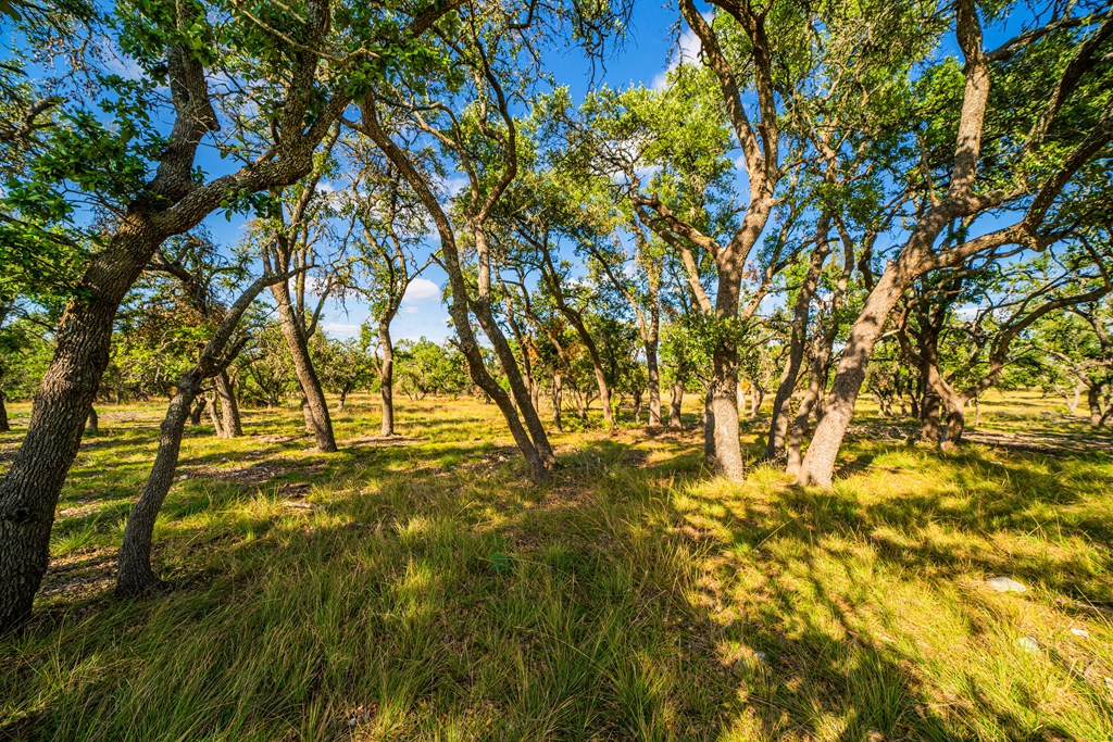 Lot 33 Reservation Road, Unit 33 Harper, TX 78631 - Photo 2 of 5 Gallery Image 2