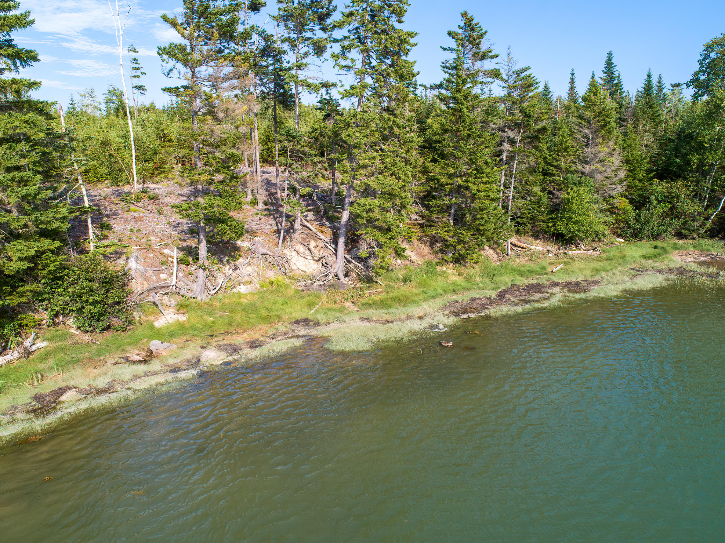 32 Peninsula Shores Road Corea, ME 04624 - Photo 16 of 23 32 Pennisula Shores HiRes (11)