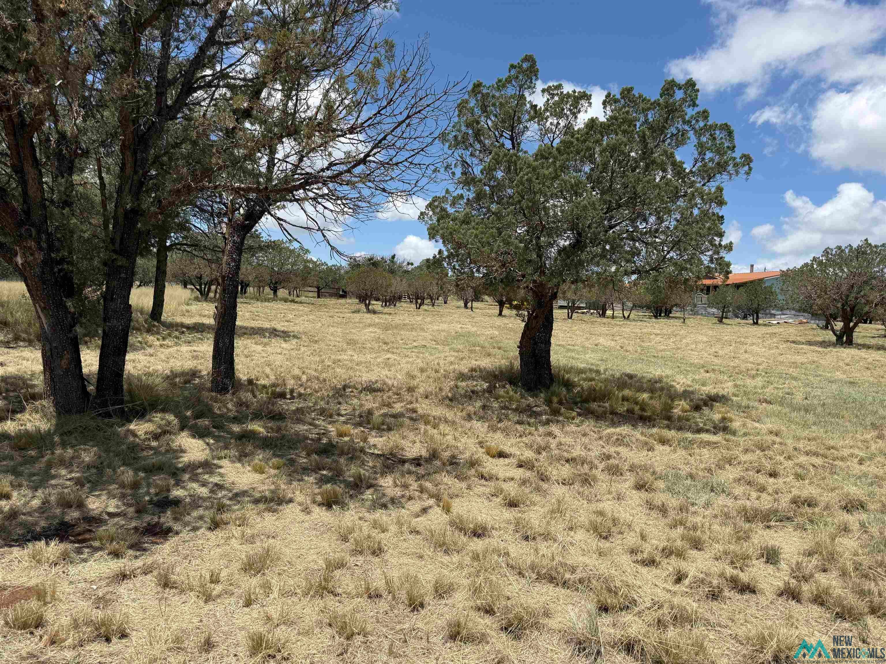 65 Ridge Road Carlsbad, NM 88220 - Photo 31 of 35 Gallery Image 31