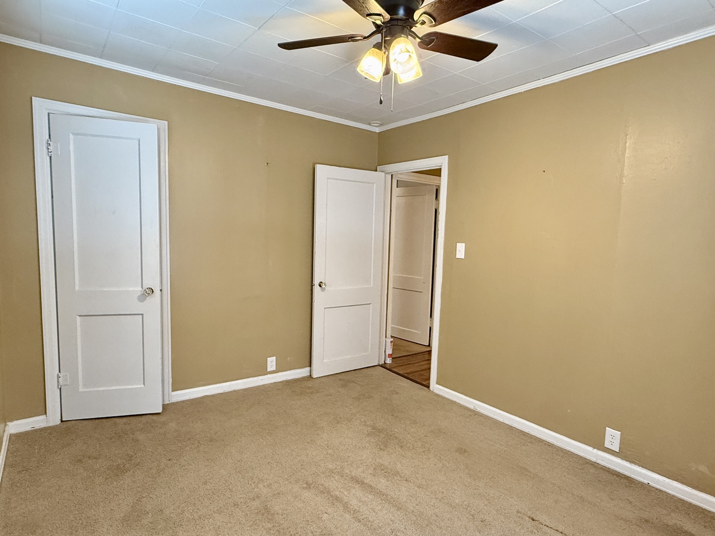 311 East 12th Street Metropolis, IL 62960 - Photo 13 of 18