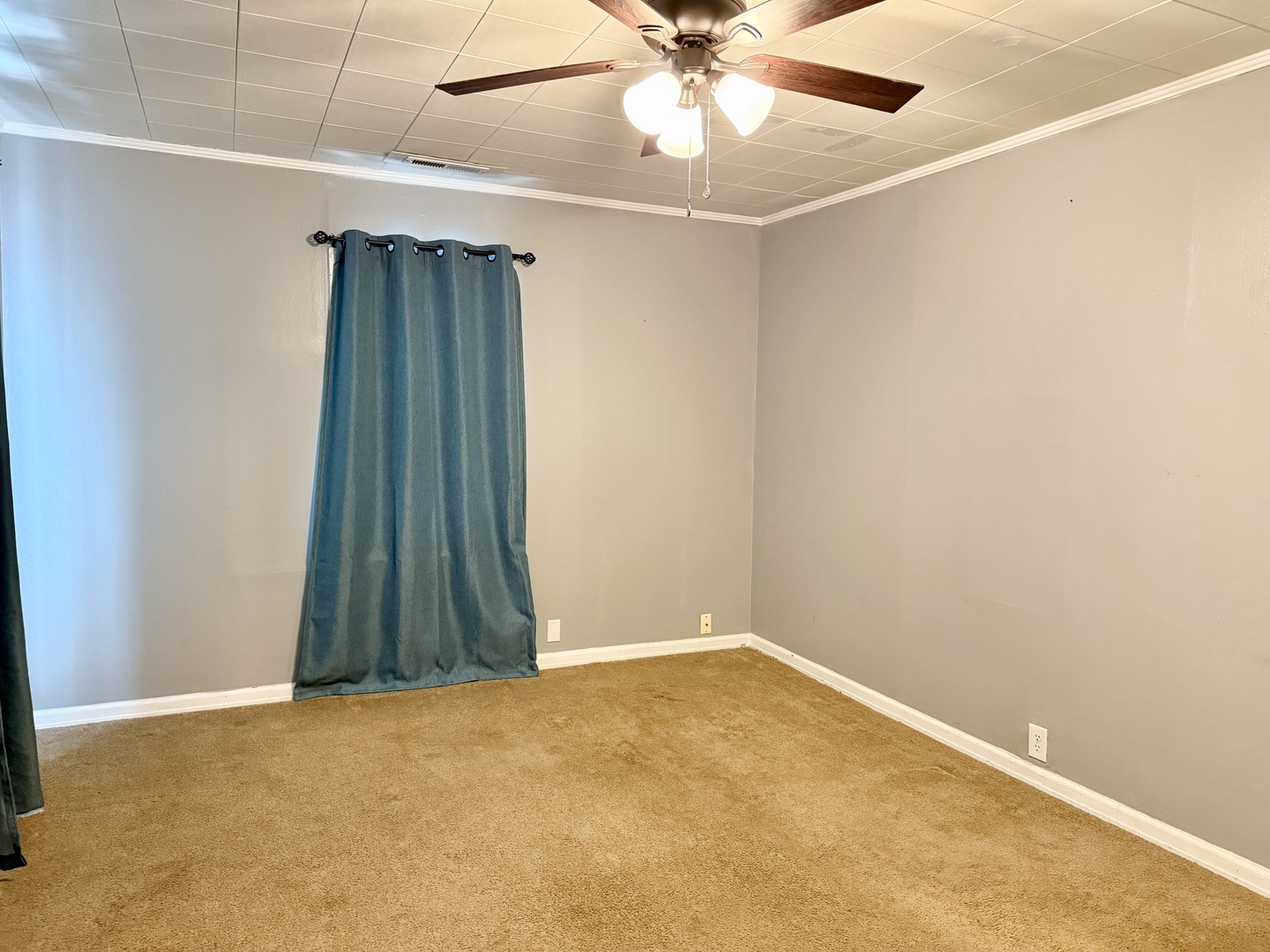 311 East 12th Street Metropolis, IL 62960 - Photo 4 of 18