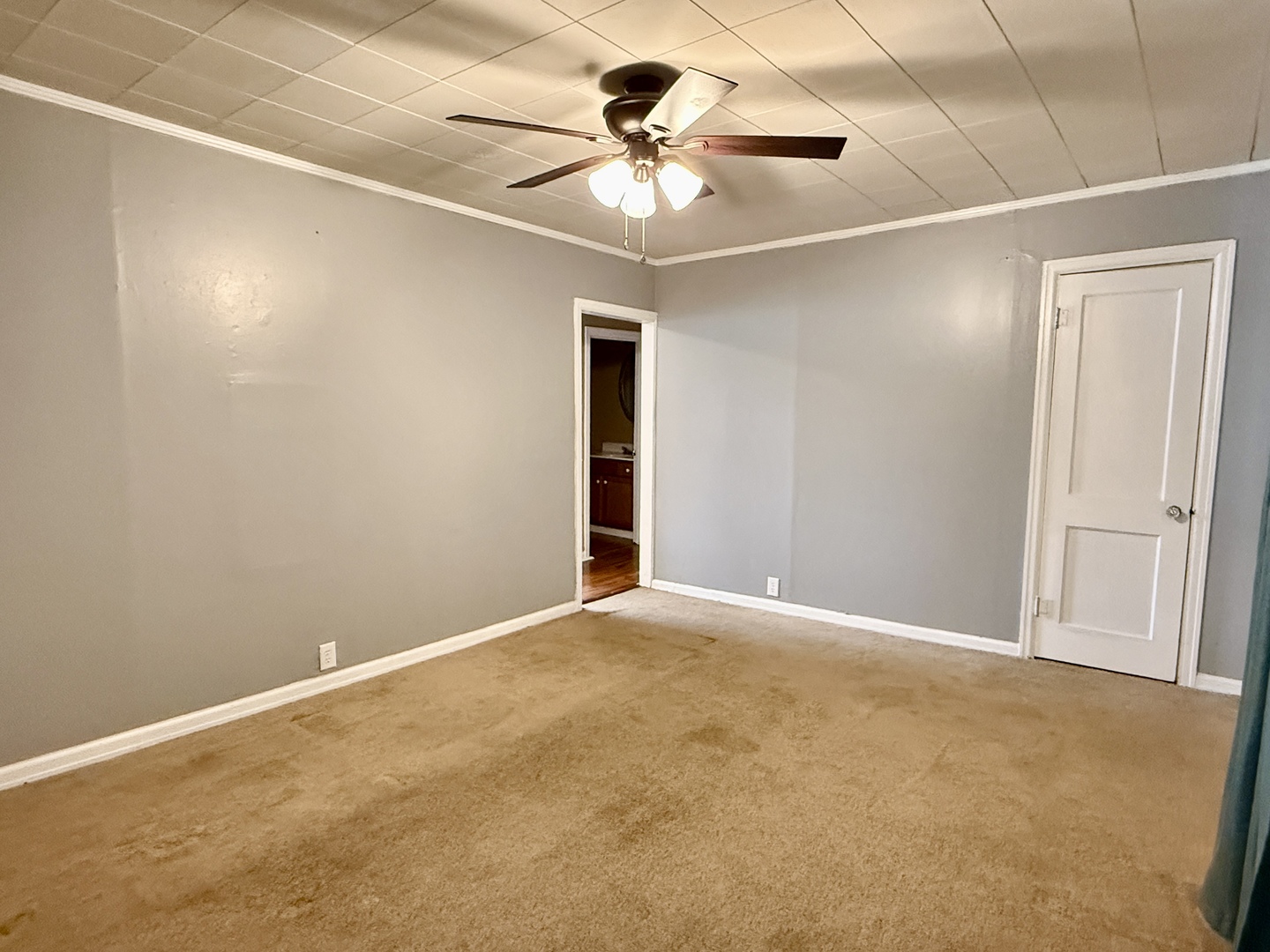 311 East 12th Street Metropolis, IL 62960 - Photo 10 of 18