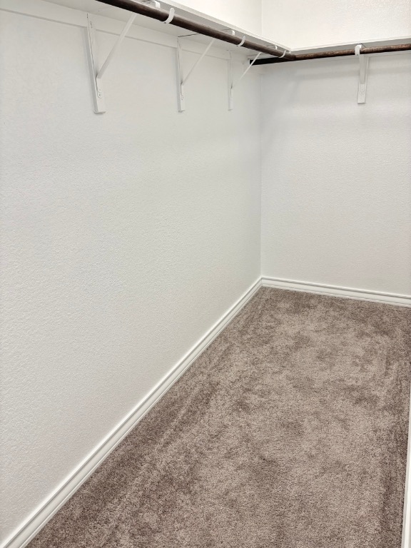 7606 Elk Grove Path Austin, TX 78653 - Photo 22 of 40 Spacious closet featuring carpet floors