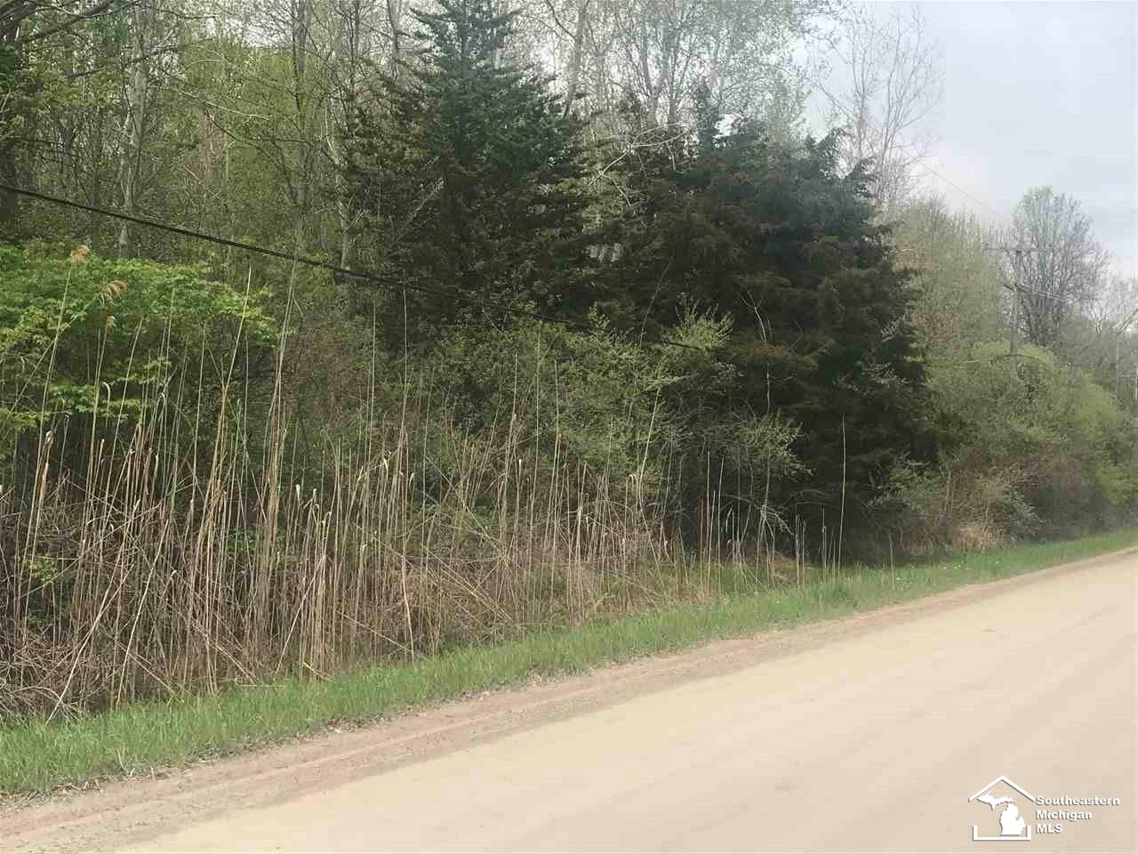 0 Bunton Road Milan, MI 48160 - Photo 2 of 22
