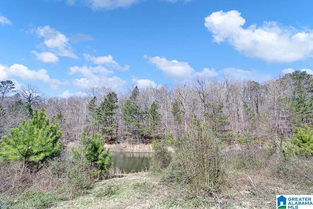 39080 Highway 231 Steele, AL 35987 - Photo 8 of 37