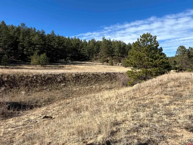 a view of outside area