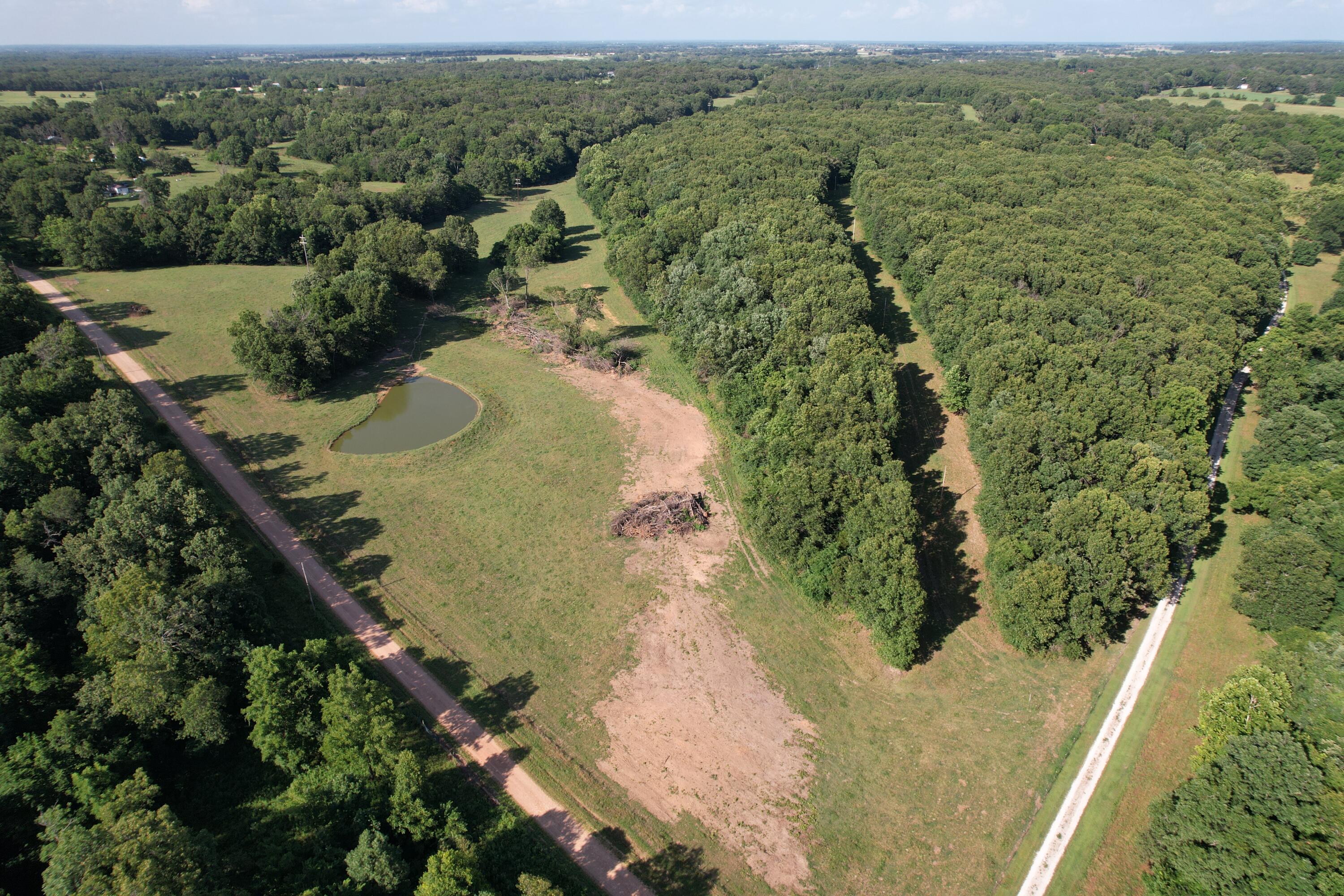 6731 Raccoon Road Pierce City, MO 65723 - Photo 6 of 99 DJI_0297