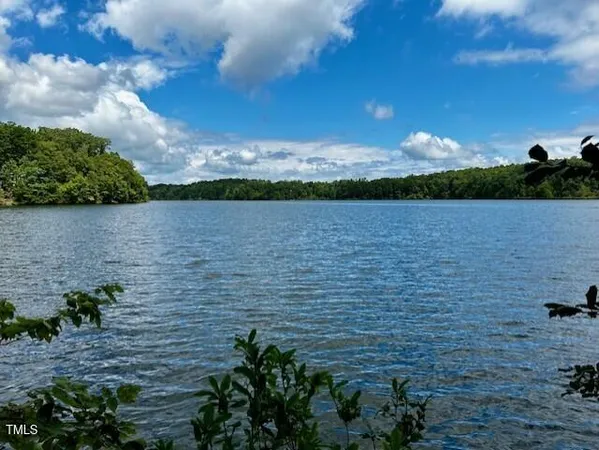 a view of a lake with green landscape and trees