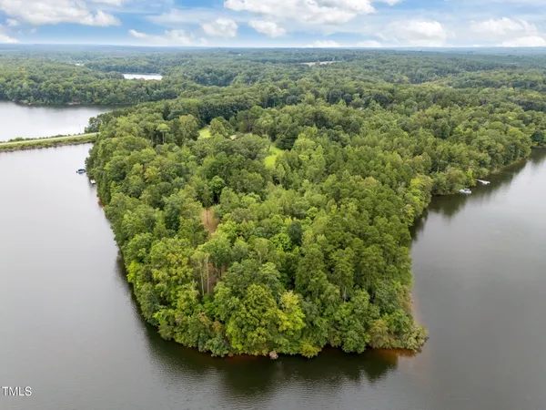 a view of a tree in a yard