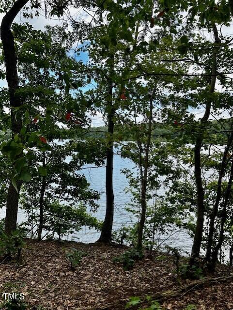 Lot 3 Grapevine Drive Roxboro, NC 27574 - Photo 13 of 17 a view of a tree in a yard