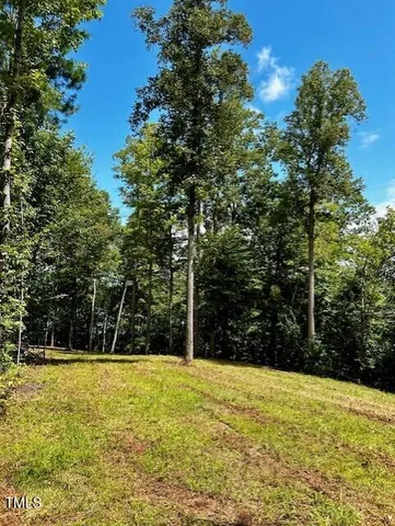 a view of backyard with tree