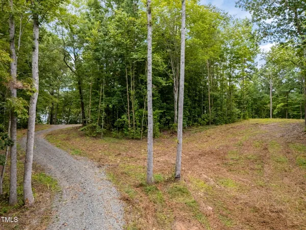 a view of backyard with green space