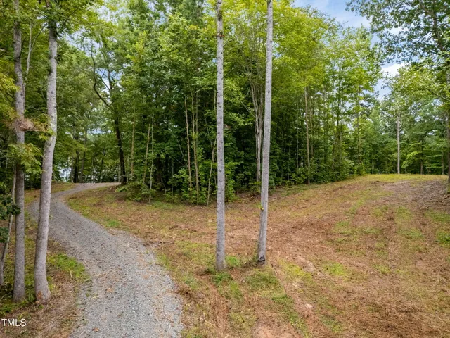 a view of backyard with green space
