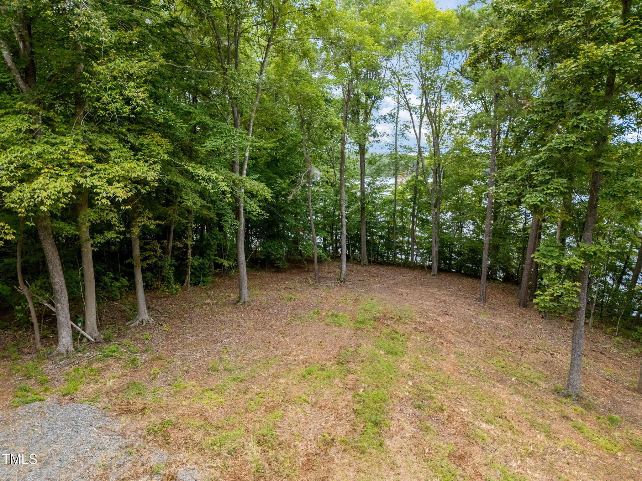 Lot 3 Grapevine Drive Roxboro, NC 27574 - Photo 8 of 17 a view of backyard with green space