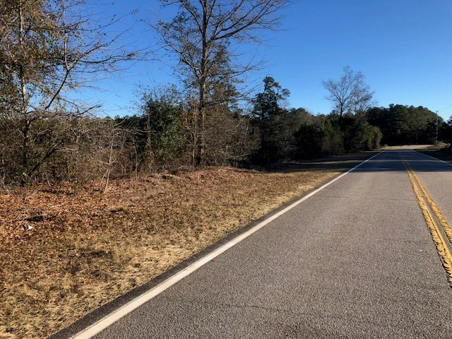 Tbd Old Belleville Road St. Matthews, SC 29135 - Photo 2 of 10 Photo 2