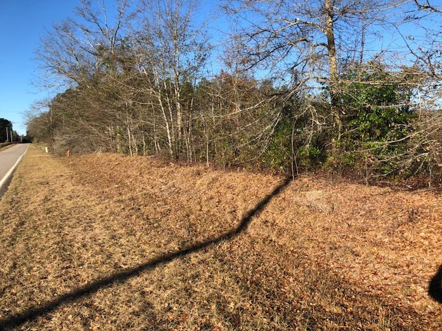 Tbd Old Belleville Road St. Matthews, SC 29135 - Photo 3 of 10 Photo 3