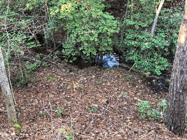 Tbd Old Belleville Road St. Matthews, SC 29135 - Photo 10 of 10 Photo 10