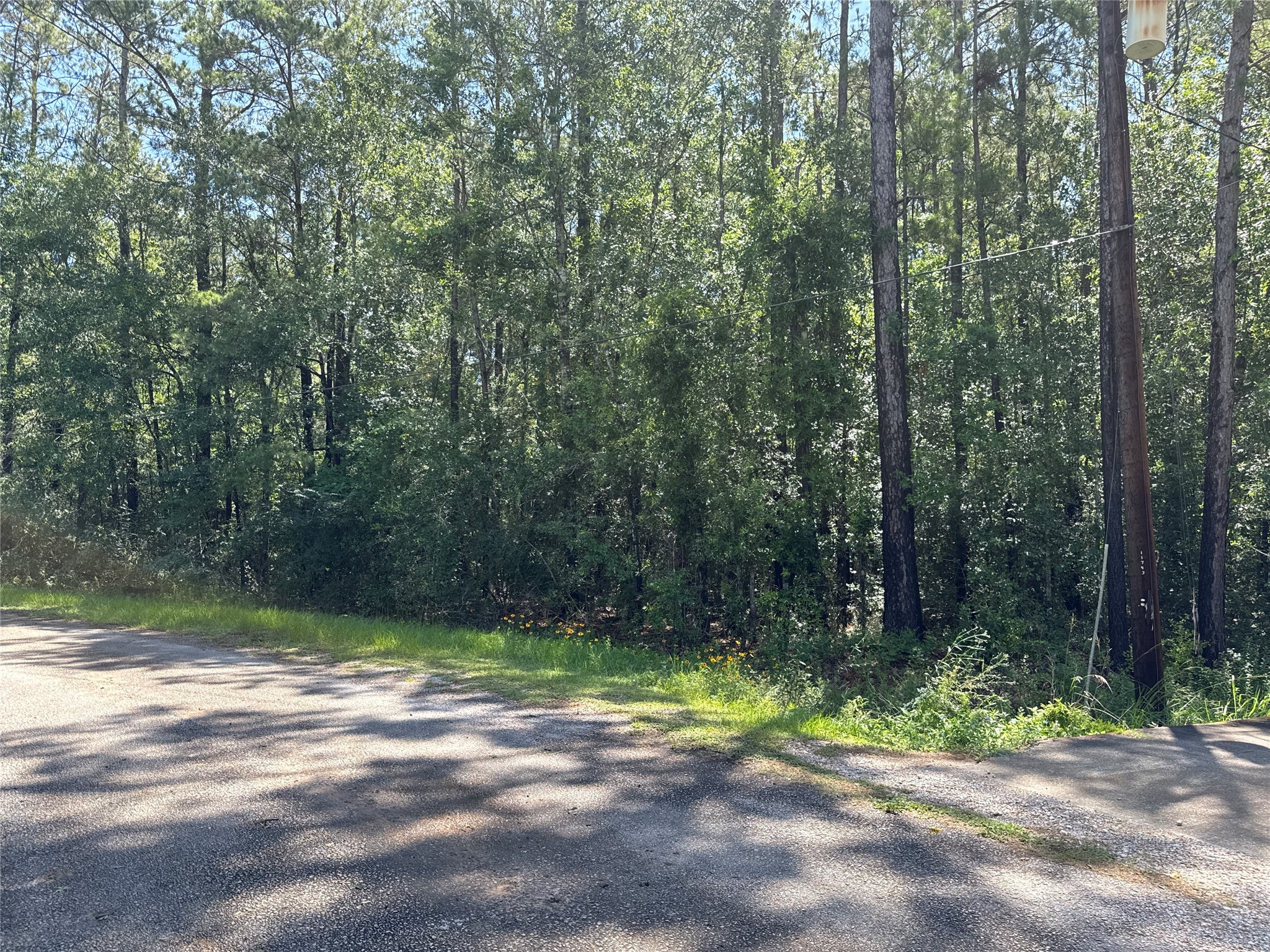 a view of outdoor space with trees