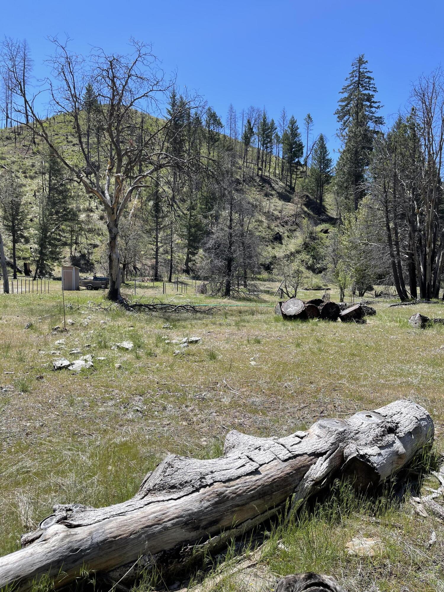 300 Cedar Gap Road Mad River, CA 95552 - Photo 6 of 11