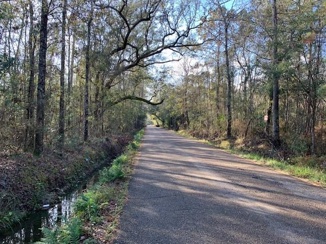 0 Wilson Road Covington, LA 70435 - Photo 1 of 5 Gallery Image 1