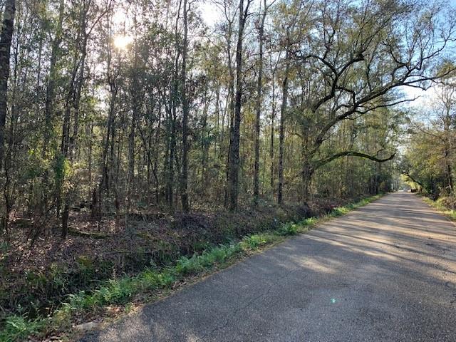 0 Wilson Road Covington, LA 70435 - Photo 2 of 5 Gallery Image 2