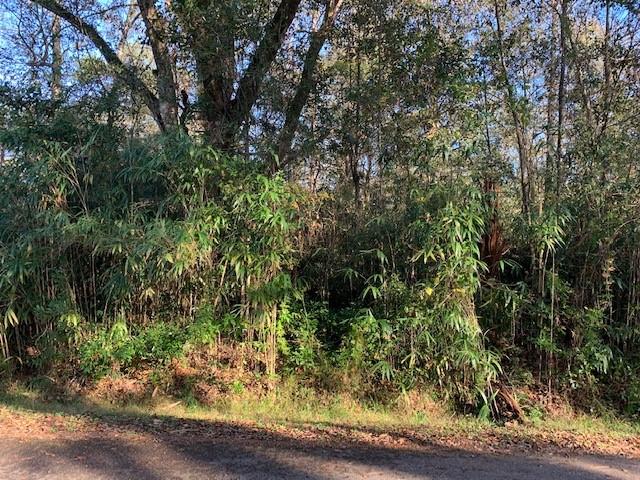 0 Wilson Road Covington, LA 70435 - Photo 3 of 5 Gallery Image 3