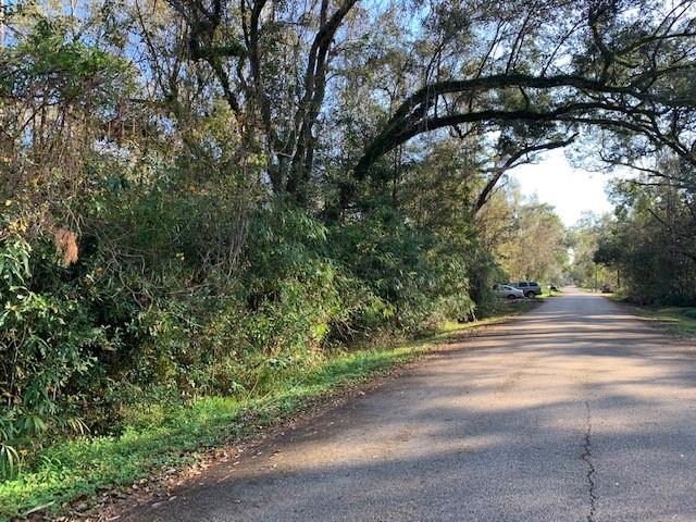 0 Wilson Road Covington, LA 70435 - Photo 5 of 5 Gallery Image 5
