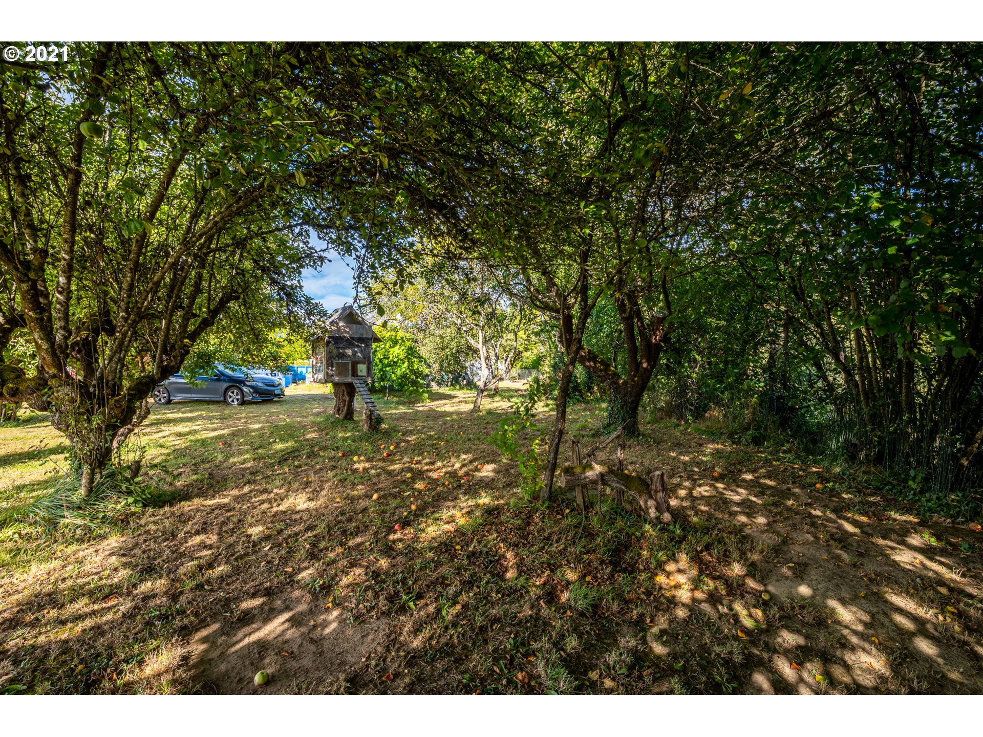 55561 Fishtrap Road Coquille, OR 97423 - Photo 7 of 31 a view of outdoor space and yard