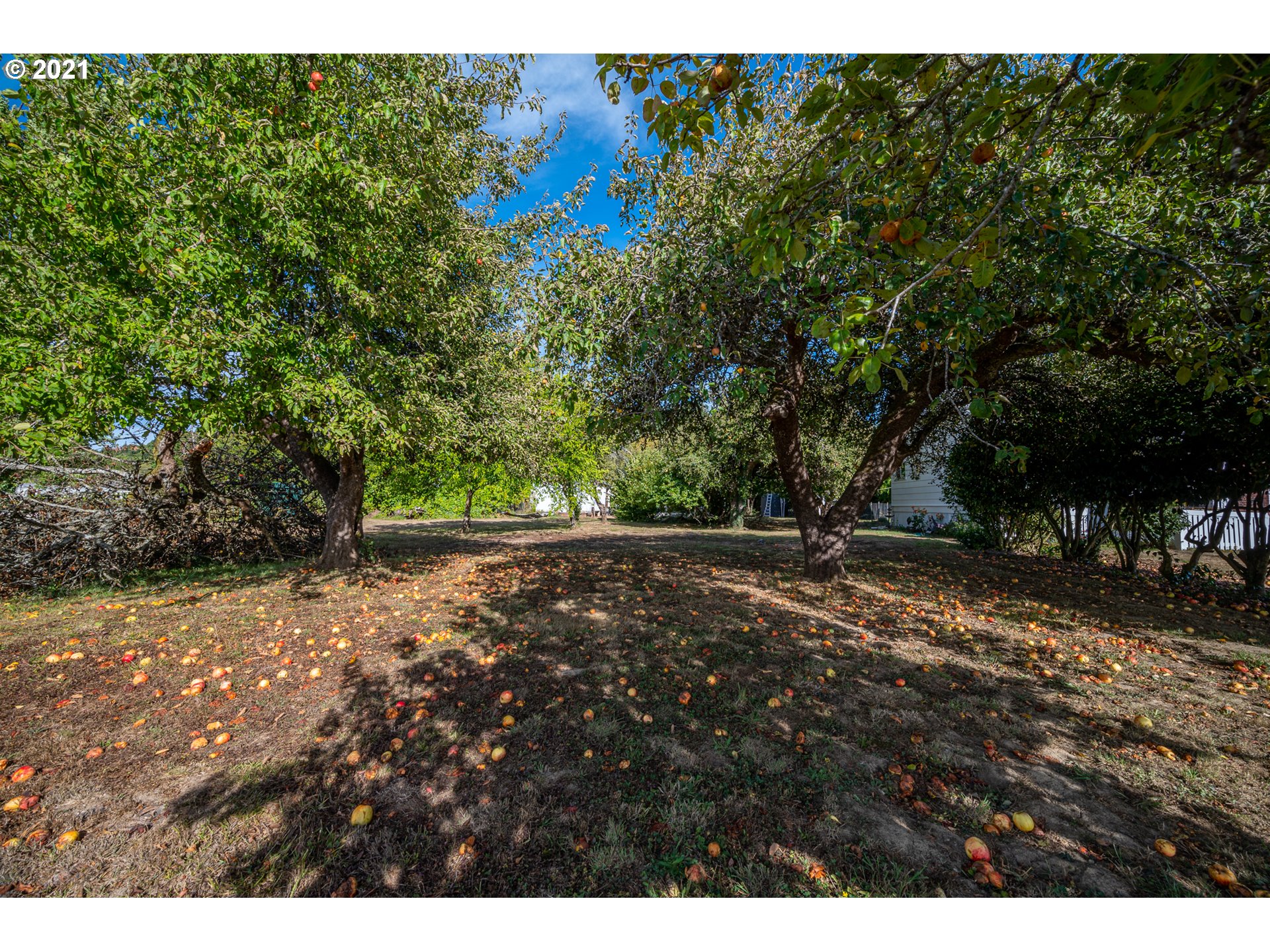 55561 Fishtrap Road Coquille, OR 97423 - Photo 10 of 31 a view of outdoor space and yard