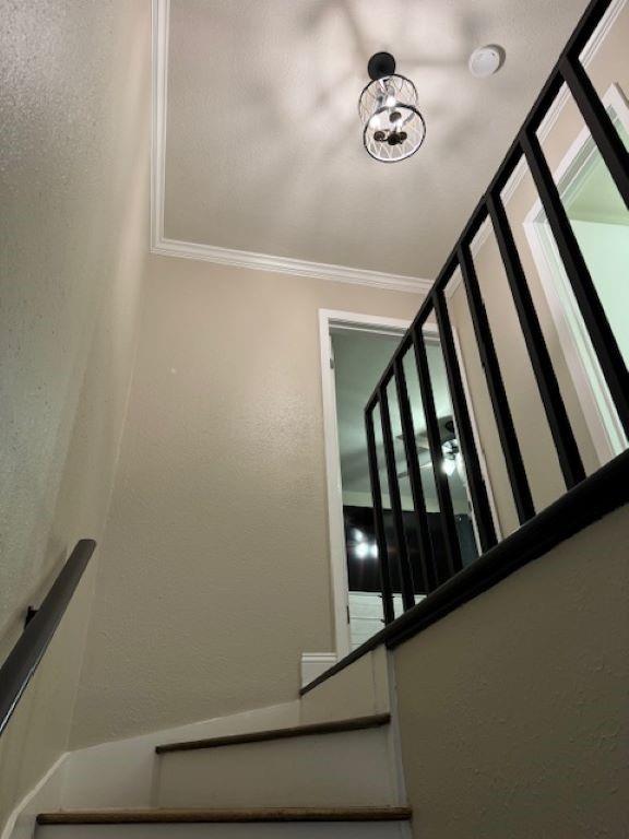 4033 Division Street, Unit 4033 Metairie, LA 70002 - Photo 16 of 33