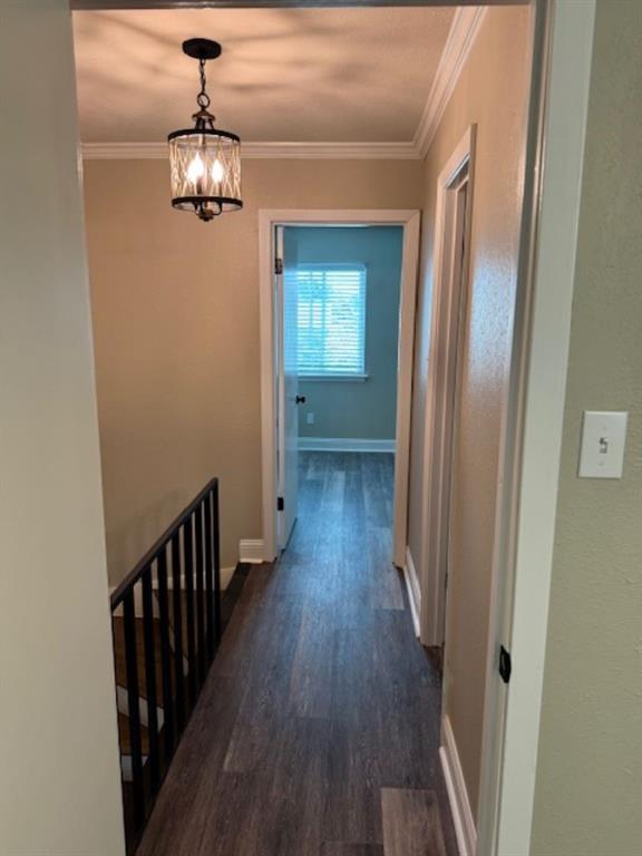4033 Division Street, Unit 4033 Metairie, LA 70002 - Photo 17 of 33