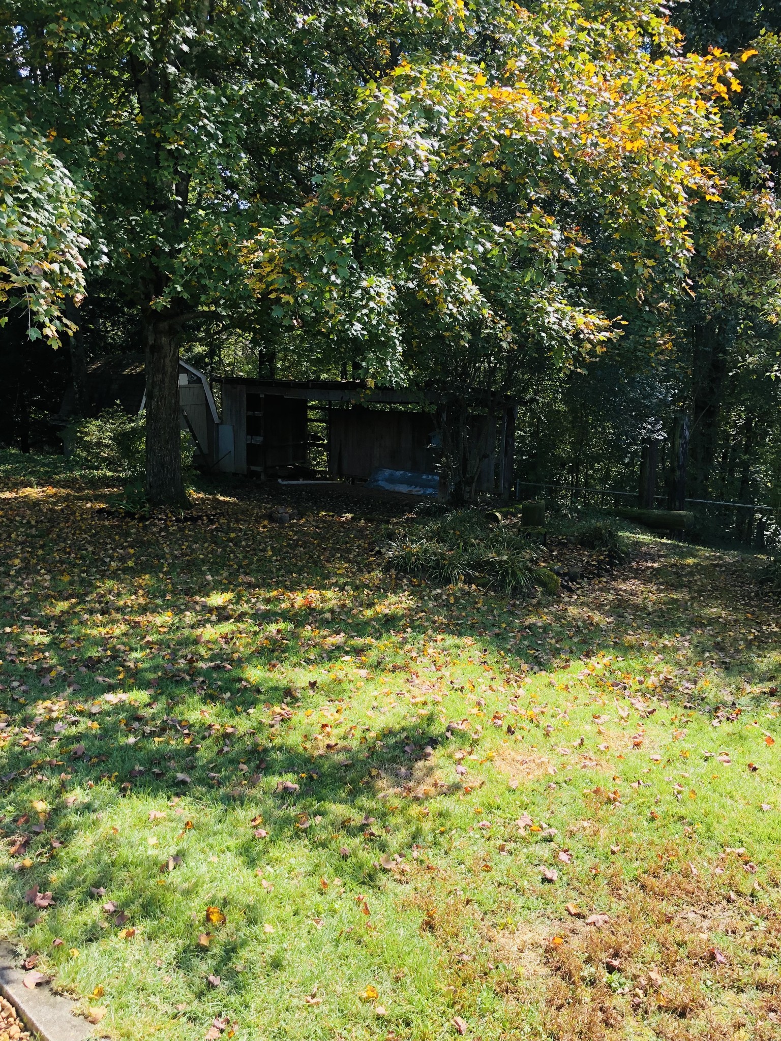 3975 Baxter Road Joelton, TN 37080 - Photo 11 of 35 Gallery Image 11