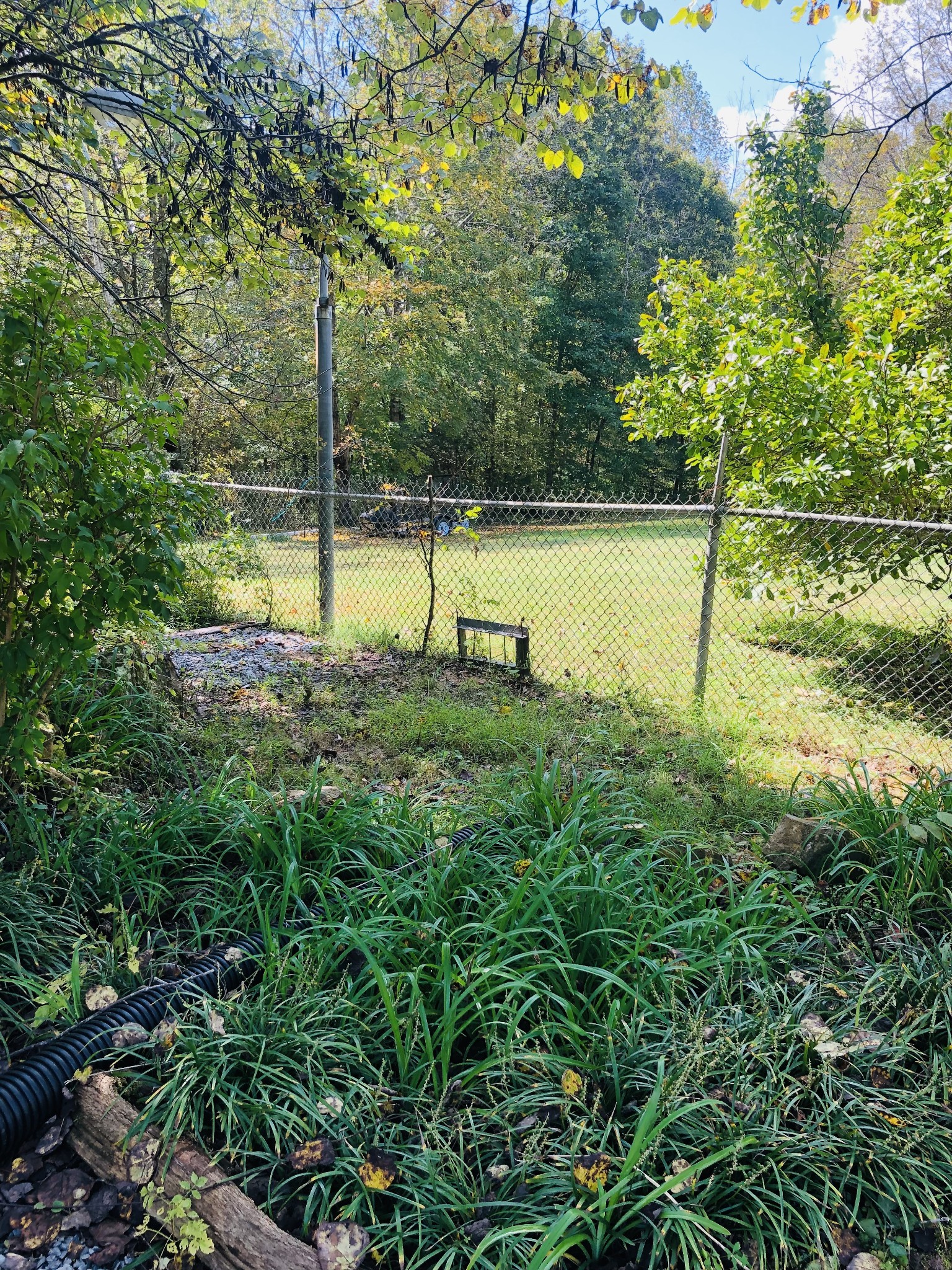 3975 Baxter Road Joelton, TN 37080 - Photo 9 of 35 Gallery Image 9