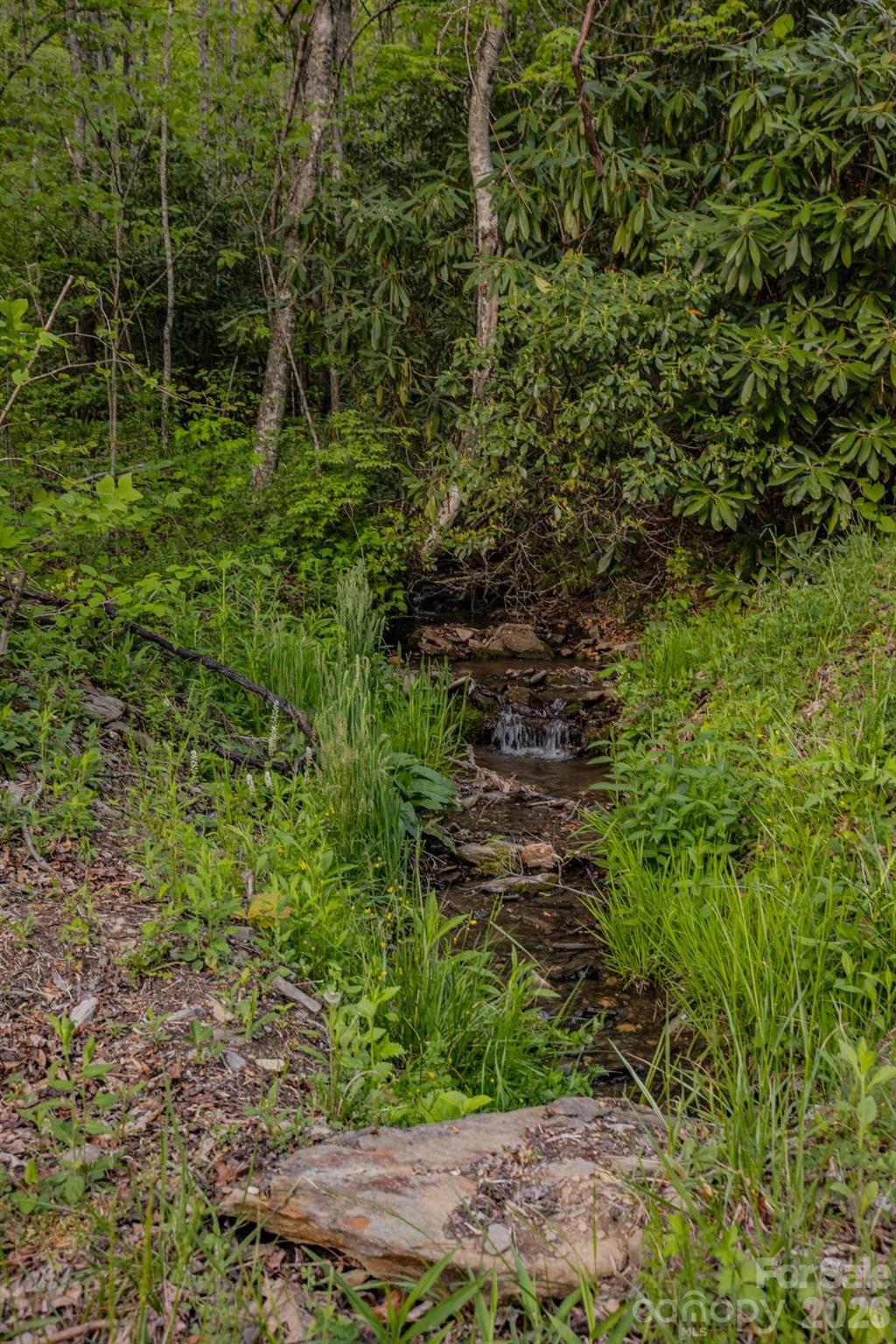 0 Unahala Creek Road Bryson City, NC 28713 - Photo 8 of 14