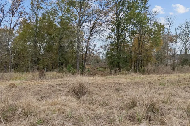 $440,950 | 725 Private Road 2315, Centerville, TX 75833