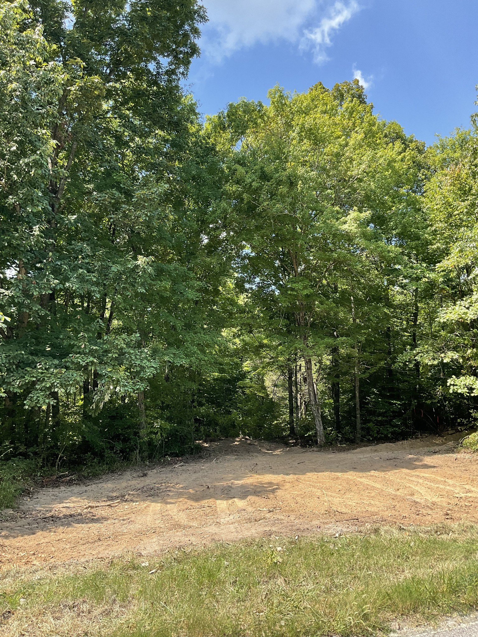 7 Oak Ridge Road Palmyra, TN 37142 - Photo 11 of 12 Gallery Image 11