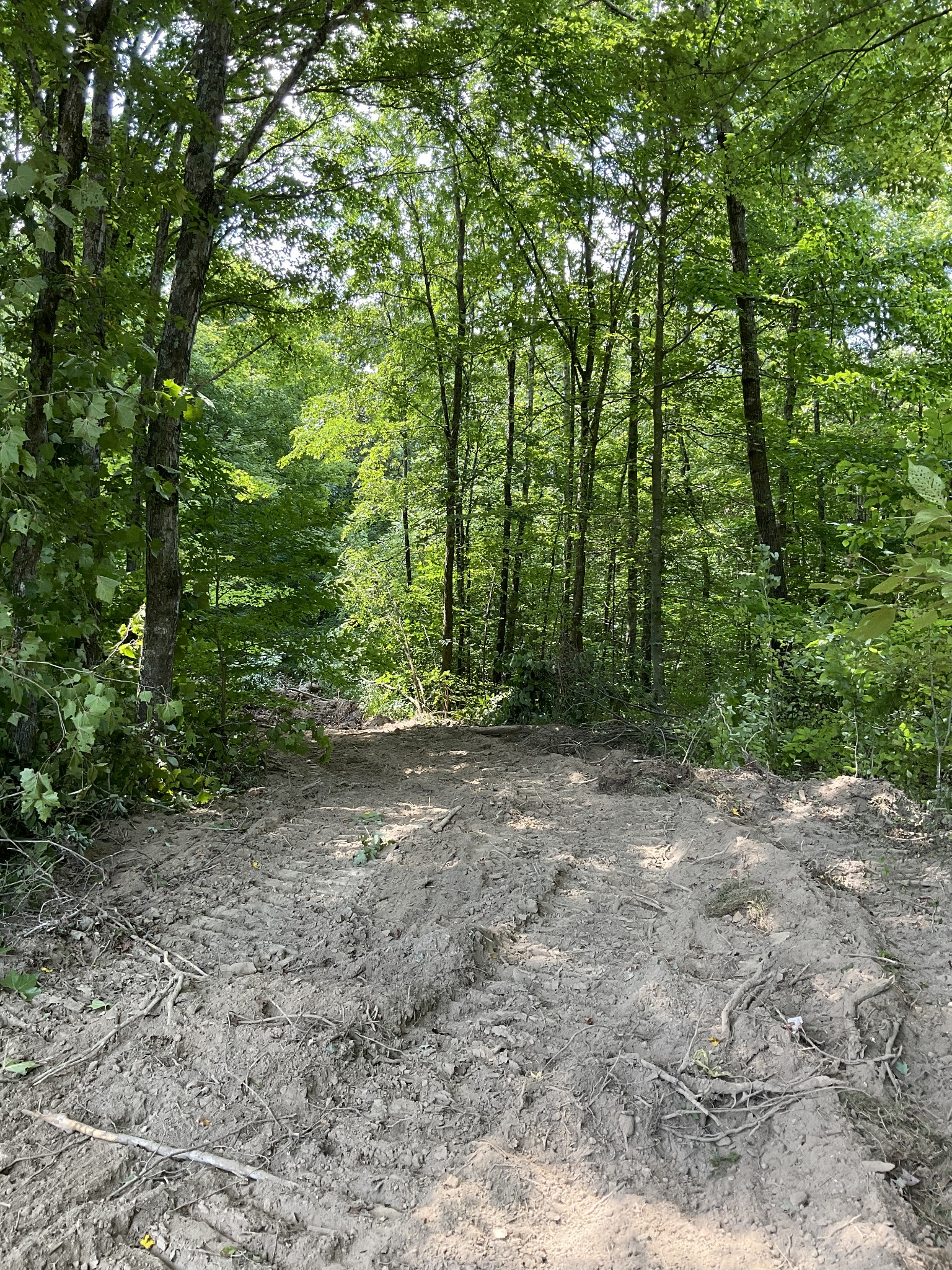 7 Oak Ridge Road Palmyra, TN 37142 - Photo 12 of 12 Gallery Image 12