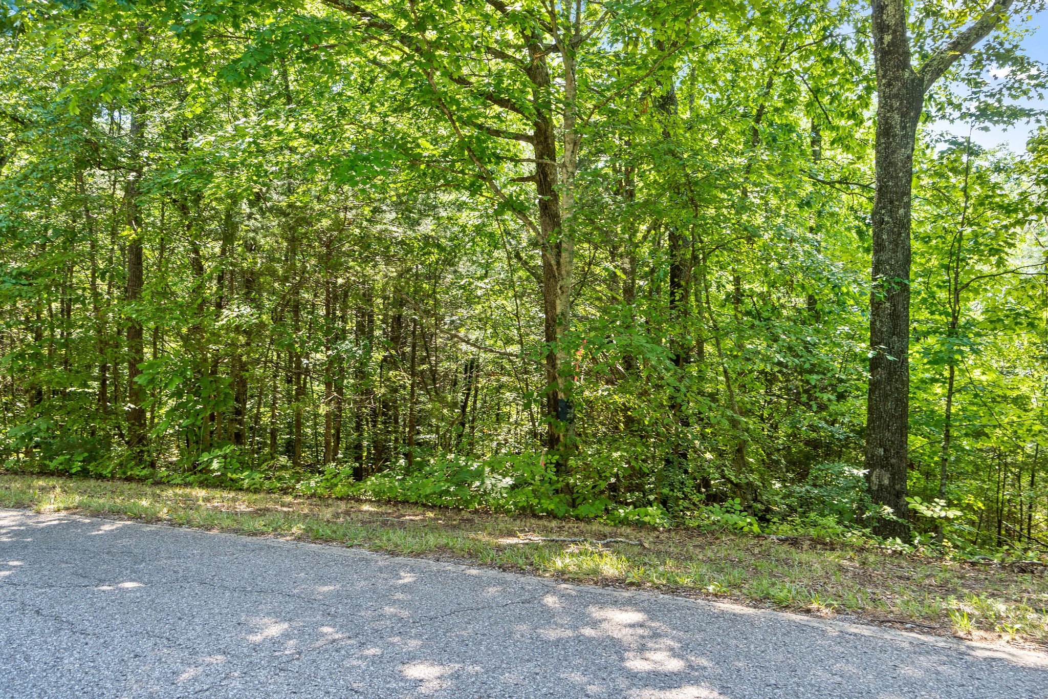 7 Oak Ridge Road Palmyra, TN 37142 - Photo 2 of 12 Gallery Image 2
