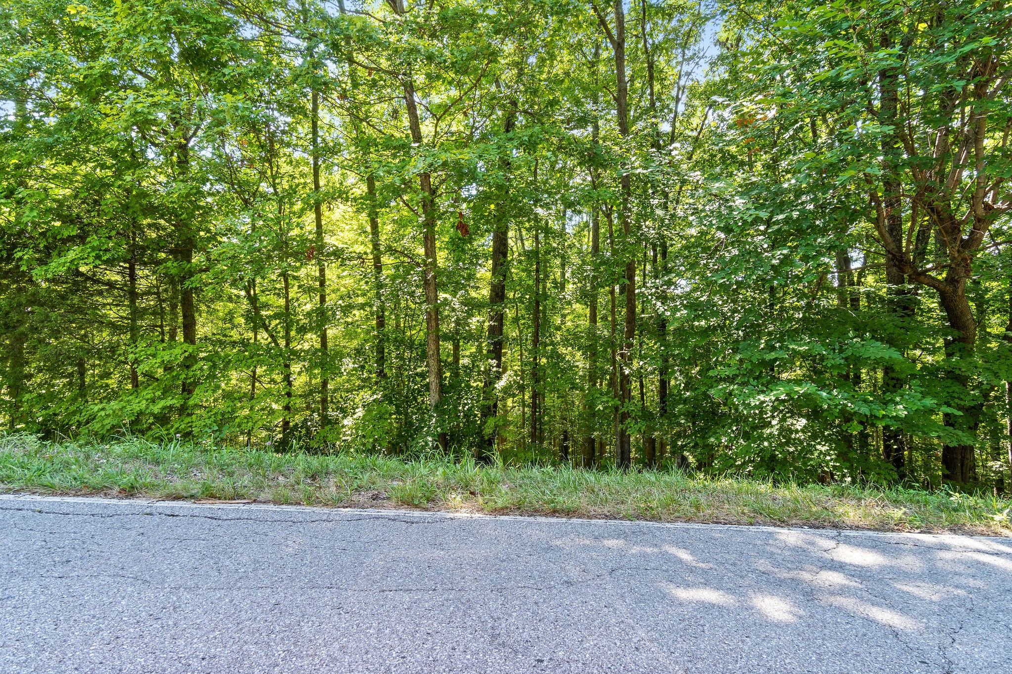 7 Oak Ridge Road Palmyra, TN 37142 - Photo 7 of 12 Gallery Image 7
