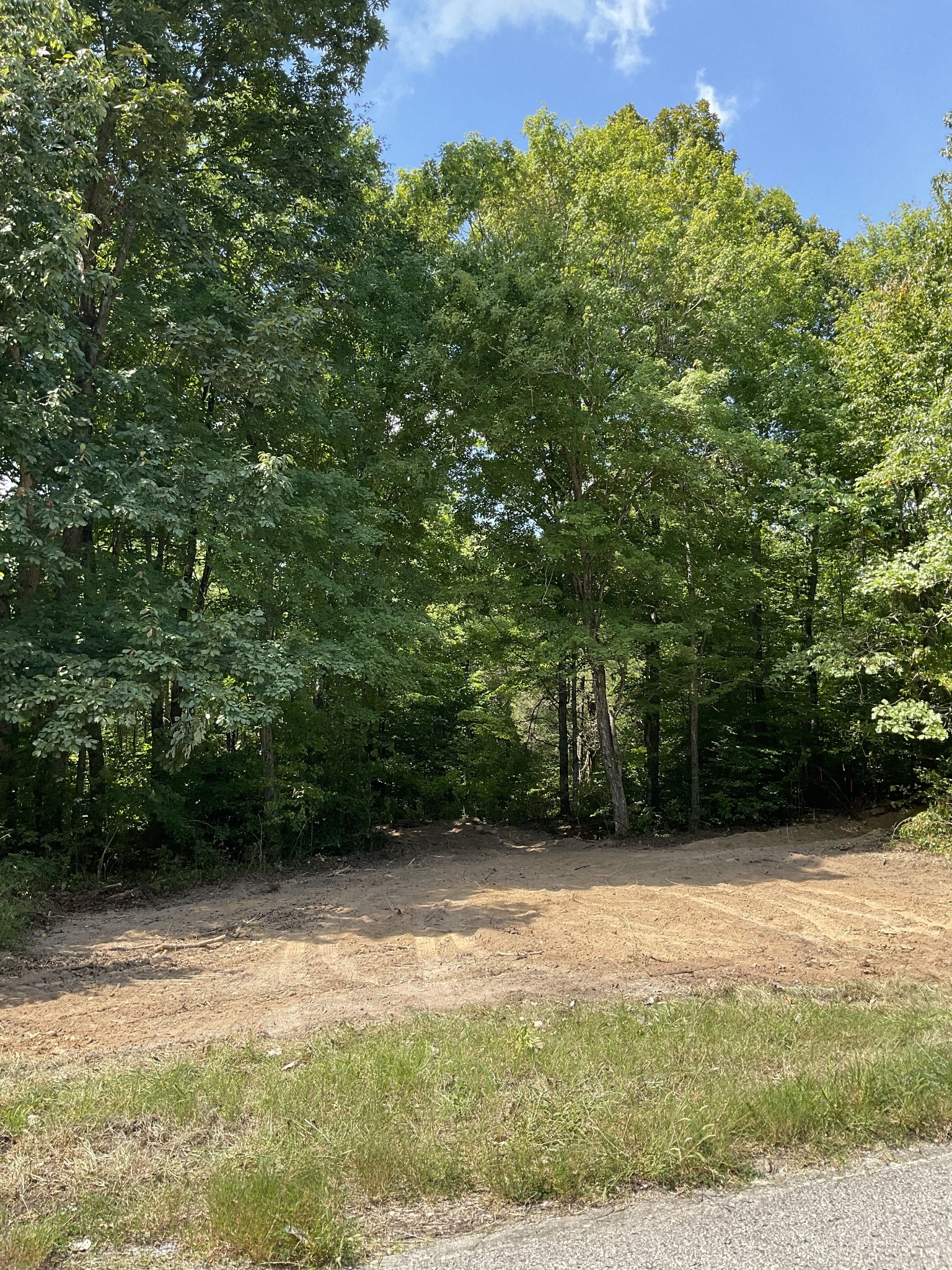 7 Oak Ridge Road Palmyra, TN 37142 - Photo 10 of 12 Gallery Image 10