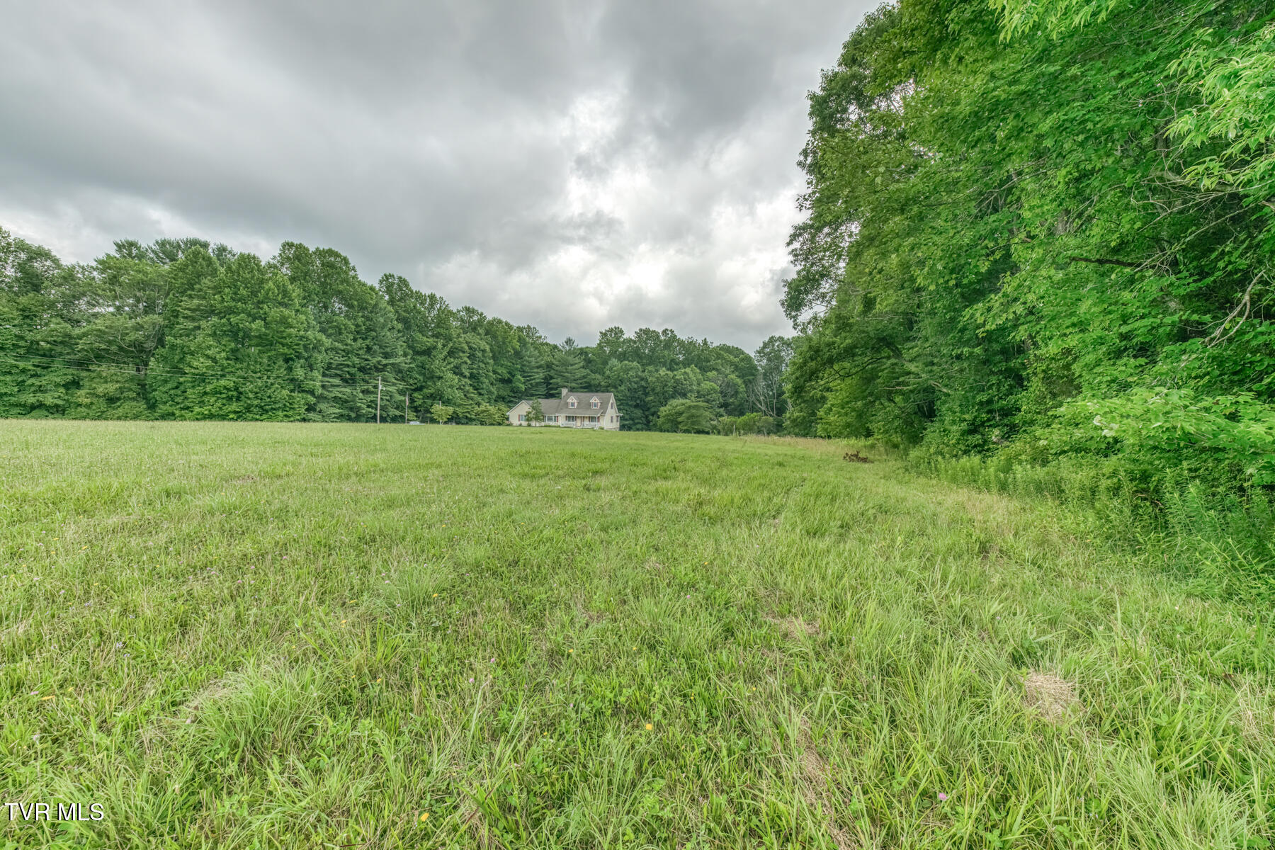1678 Sluder Road Shady Valley, TN 37688 - Photo 86 of 110 1678 Sluder Rd-86