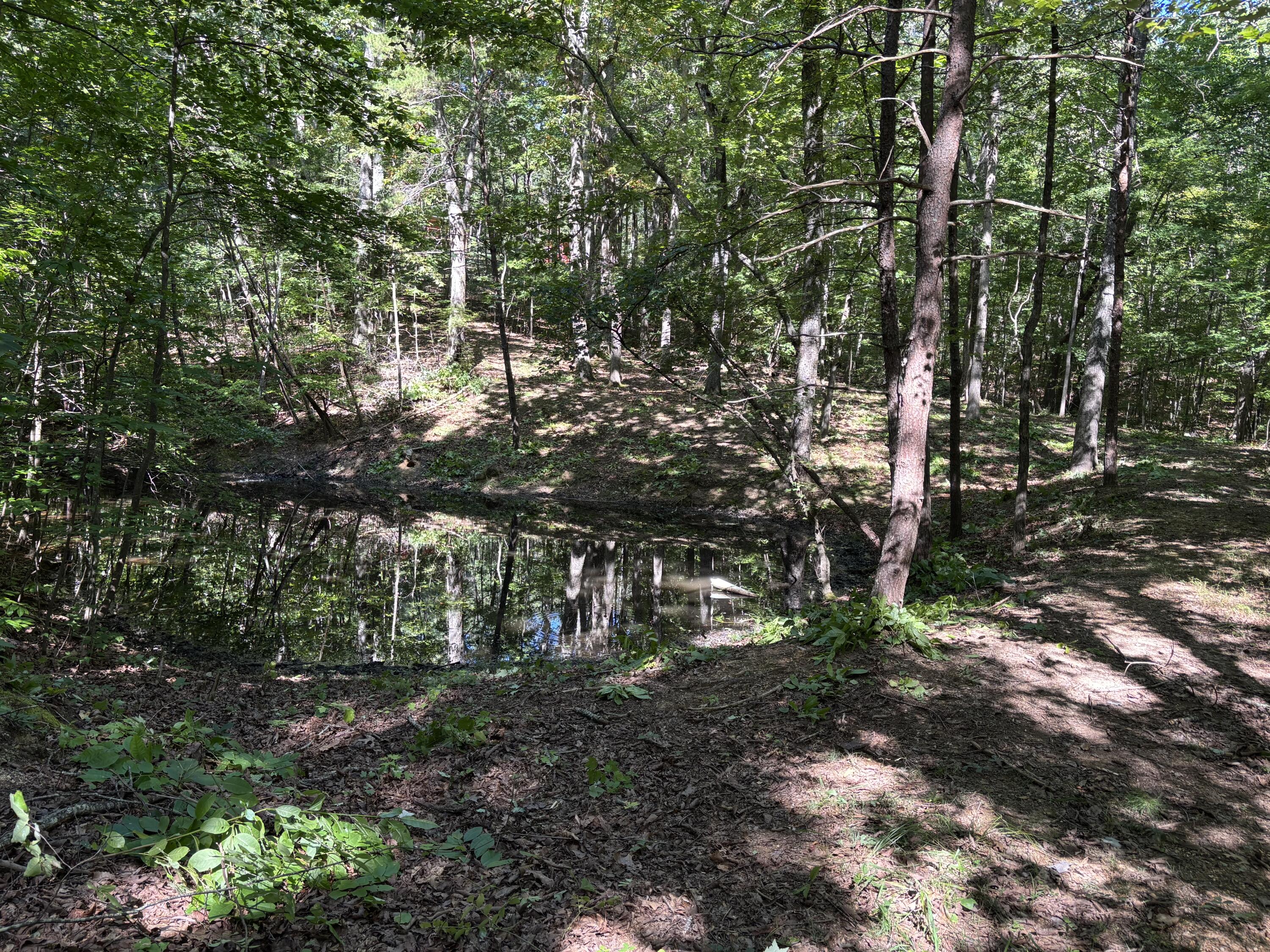474 Mud Road Graysville, TN 37338 - Photo 20 of 36 Mud Rd