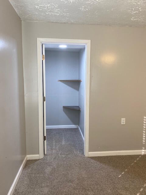 3487 White Conkwright Road Winchester, KY 40391 - Photo 11 of 21 WC 7