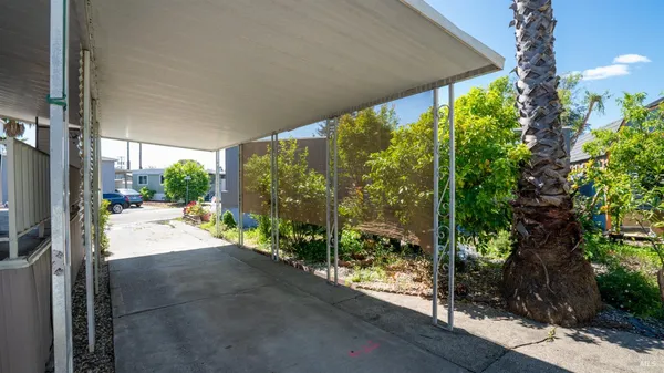 a view of yard from window