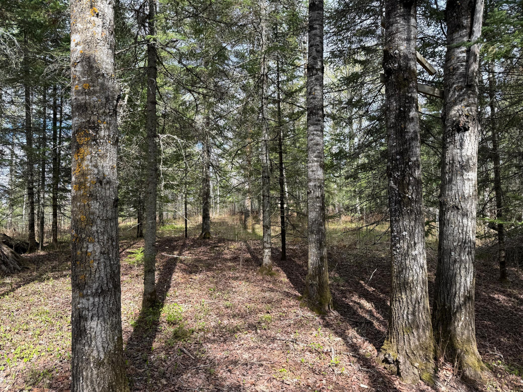 7355 West Melrude Road Cotton, MN 55724 - Photo 35 of 66