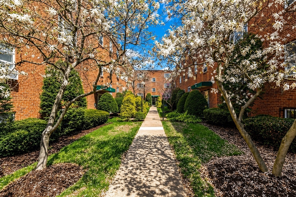59 Colborne Road, Unit 2 Boston, MA 02135 - Photo 9 of 13