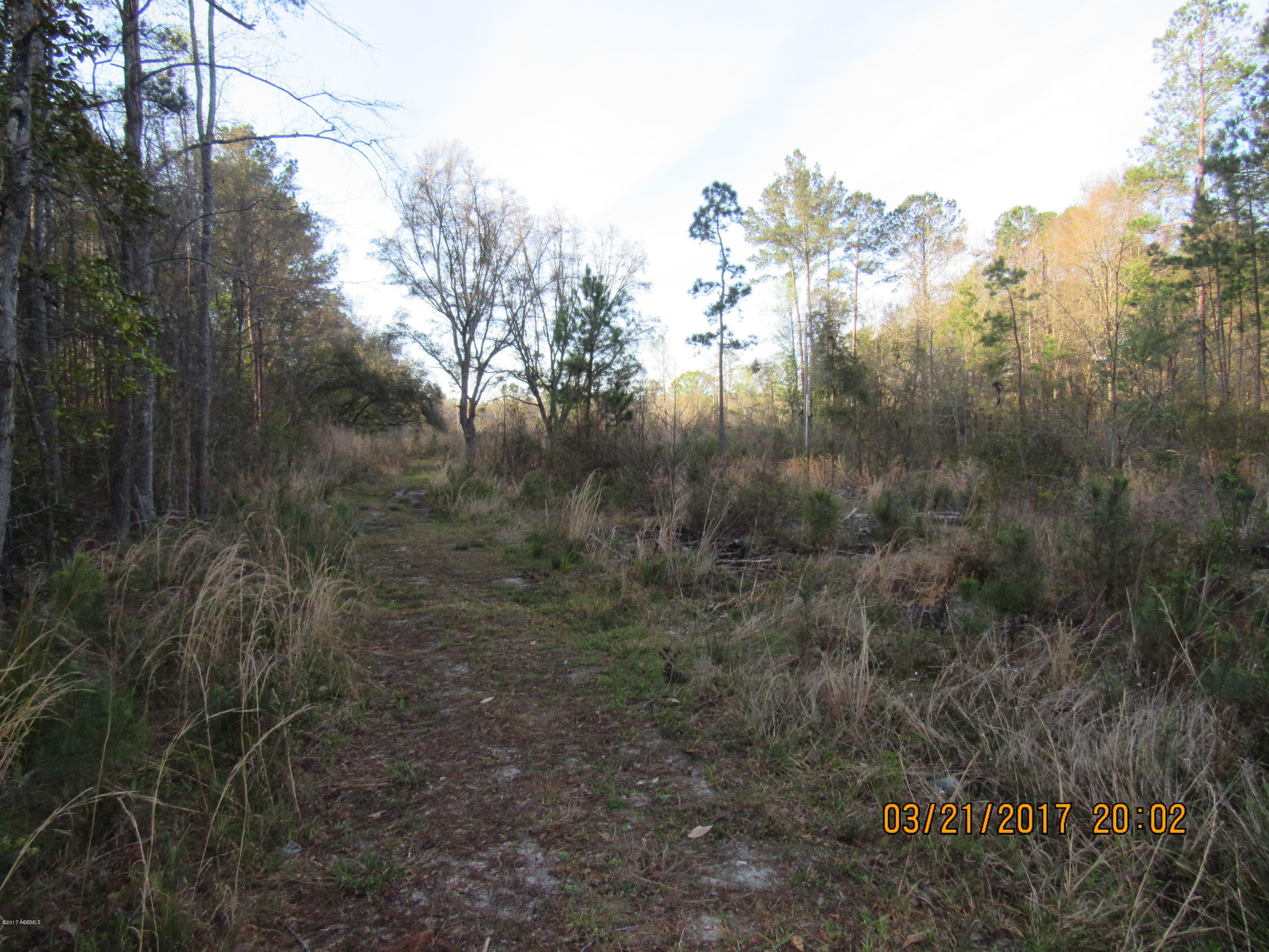 Tbd Great Swamp Road Ridgeland, SC 29936 - Photo 1 of 7 IMG_3033