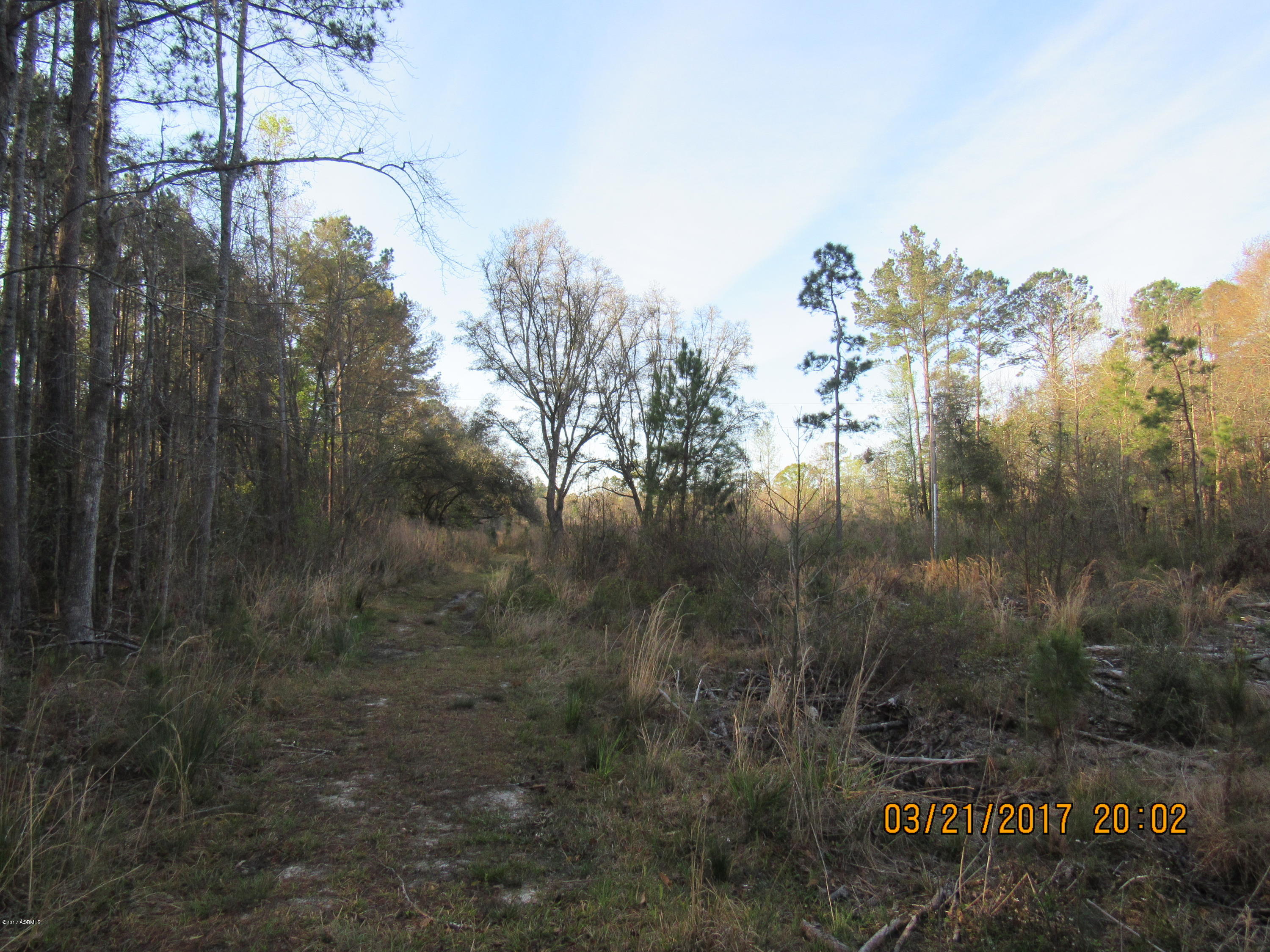 Tbd Great Swamp Road Ridgeland, SC 29936 - Photo 3 of 7 IMG_3035